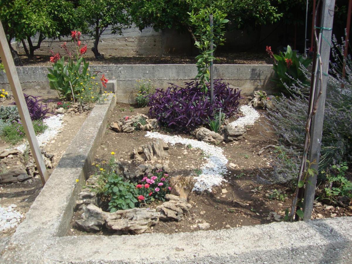 סלאטינה Apartmani Mislav מראה חיצוני תמונה